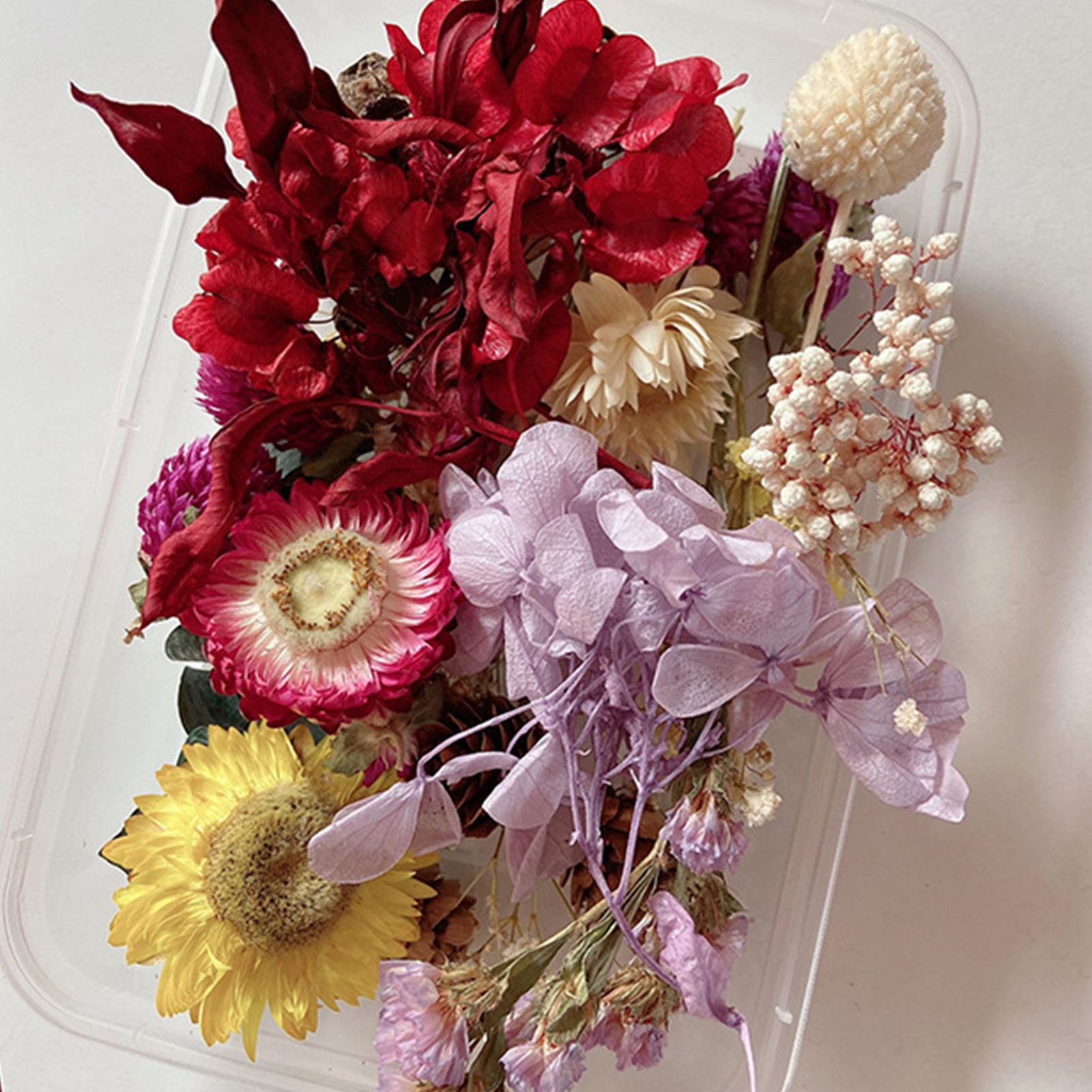 Natural Dried Flower Kit Press - Dried Herbs review and price